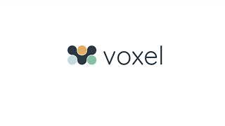 Introducing New Auto-Tagging Feature In Voxel