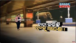 Damdar Khabar: Wild Tusker Roaming At Railway Station Creates Panic In AP