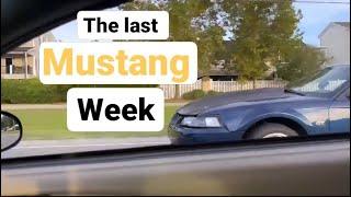 mustang week 2022! last trip to the beach  :(