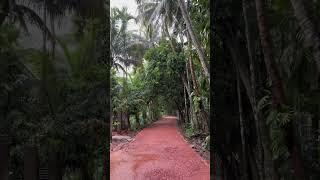 Village X rain