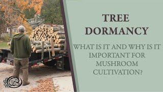 Tree Dormancy: What is it, When is it, and Why is it Important for Mushroom Cultivation?