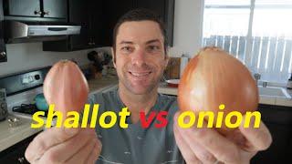 Shallots vs. Onions: 5 Differences To Know