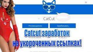 ЛУЧШАЯ СТРАТЕГИЯ НА CATCUT |  СТРАТЕГИЯ МОЩНОГО ЗАРАБОТКА