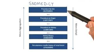 SNOMED CT - Georgia Tech - Health Informatics in the Cloud