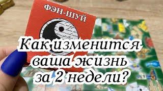 Как изменится ваша жизнь за 2 недели? Гадание на пасьянсе Карина Захарова