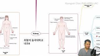 한의학, 오장 변증(3) - 신장 변증, 비뇨 생식기계, 비신양허, 신불납기 등등