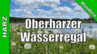 Wandertour im Oberharzer Wasserregal | 22.05.2022 | Wandern Harz