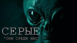 этот РАССКАЗ заставит ТЕБЯ поверить в НЛО - СЕРЫЕ  ужасы фантастика