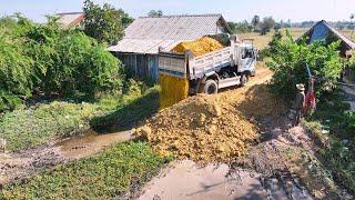 Start new project ​Interesting to fill using Bulldozer mini & truck 5T Pushing Soil  Into the field