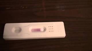 Тест на беременность. Pregnancy test. Online!