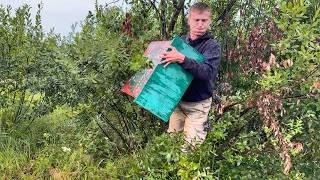 Буде що ВНУКАМ розказати! Ледь доніс той рій додому.