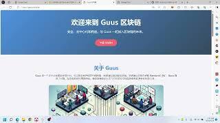 全网最牛保姆级 GUUS RandomX POW + FrameNodes（POS）CPU 门罗算法挖矿教程  头矿首矿 rplant矿池挖GUUS币的方法