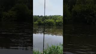 Река НЕМАН в городе Гродно БЕЛАРУСЬ.