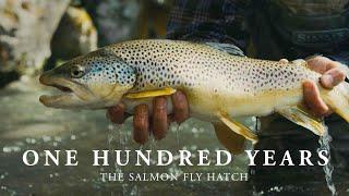 100 Years: A Salmon Fly Story