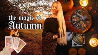 Magical Autumn Days  Enchanted Forest, Samhain & Pumpkin Curry