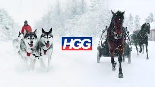 HGG Reitsport - Trip to Sweden 2019