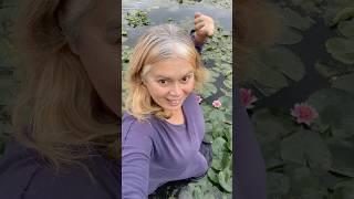 #гарнактаквіточка #німфея #русалка #оксанабесараб