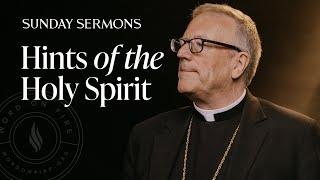 Hints of the Holy Spirit - Bishop Barron's Sunday Sermon