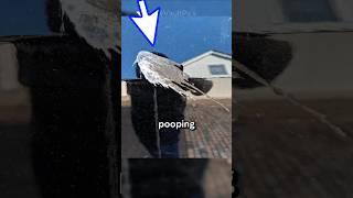 Incredible Rare Photos That Will Blow Your Mind Instantly | 35