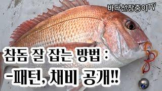 [타이라바 특강] 중수에서 고수로 가는 영상, 바다선장중이의 2023년 첫 어드바이스 나만 따라와 바다선장중이 하루에 두자리 쌉가능!! - jeju tairubber fishing