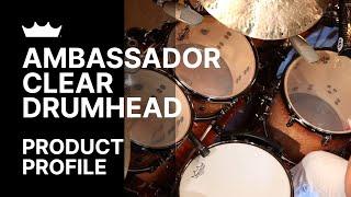 Ambassador Clear Drumhead | Remo