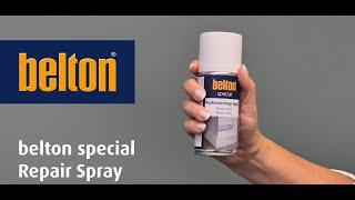 belton special - Repair Spray