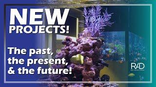 NEW PROJECTS, MEMORABILIA AND A GLANCE INTO THE FUTURE WITH THE FLORIDA MARINE AQUARIUM SOCIETY.