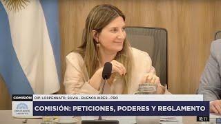 COMISIÓN COMPLETA: PETICIONES, PODERES Y REGLAMENTO - 26 de marzo de 2025 - Diputados Argentina