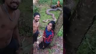 Top snake in forest by create two brother #snake #nature #travel #forest #malayalam #shorts