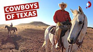 Cowboys of West Texas (o6 Ranch) 