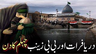 Darya furat aur bibi zainab chelam k din karbala sy | 20 safar bibi zainab ka mosaib darya furat py