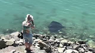 PICTON, NEW ZEALAND | Stingray for dinner on New Year’s day 