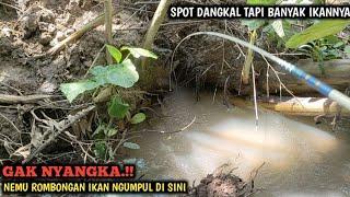 TEPAT SASARAN.!! MANCING LELE LOKAL DAN IKAN BAWAL || TIBA² NEMU ROMBONGAN IKAN NILEM