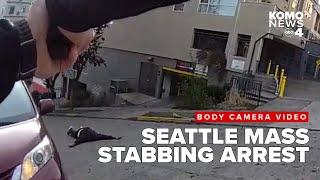 Bodycam video: Seattle mass stabbing suspect arrested