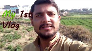 My 1st vlog | mara pala vlog ha | election 2024 | Qaisar Bhai Vlogs