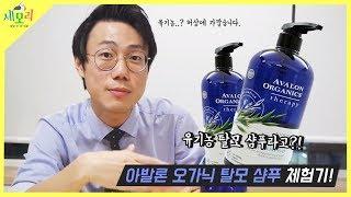 탈모 샴푸 시리즈 3편 - 아발론 오가닉스 테라피 유기농 샴푸가 당신의 두피 건강에 도움이 될까요!?