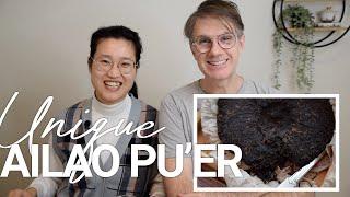 Aged Sheng Puerh from Ailao Mountains | Raw Pu Erh Tea Tasting | ZhenTea