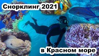 Лучший снорклинг в Египте 2021. Шарм-Эль-Шейх. Бухта Шаркс-Бей.