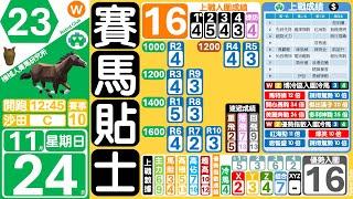 賽馬貼士機械人賽馬研究所11月24日️沙田日馬赛马贴士香港賽馬貼士 🟡賽馬分析免費貼士🟠冷馬貼士馬膽貼士香港赛马🟣機械人貼士🟢跑馬貼士 #賽馬貼士