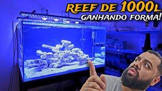 COLOCAMOS AS PRIMEIRAS BACTÉRIAS NO REEF DE 1000L