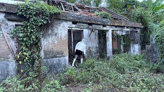 The girl was shocked at the sight of her former adoptive mother's ruined house