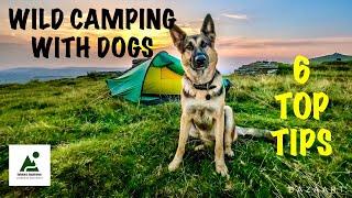Wild Camping With Dogs, 6 Top Tips