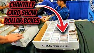 Dollar Box Shopping at The Chantilly Sports Card Show Day 2