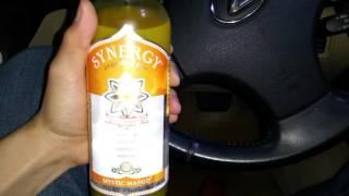 SYNERGY GTS Mystic Mango Kombucha Review Organic