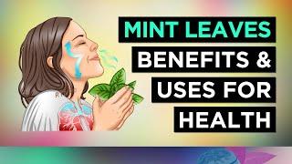 10 Benefits of MINT LEAVES (and Uses)