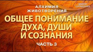 Алхимия Животворения. Общее понимание духа, души и сознания #Гарат #школаСорадение