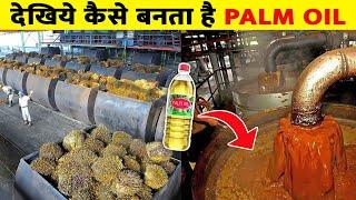 फैक्ट्री में पाम आयल कैसे बनता है |How Palm Oil Is Made In Factory | Palm Oil Manufacturing In Hindi