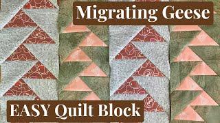 Migrating Geese Tutorial