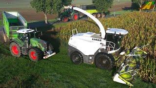 Maishäckseln 2022 weißer JAGUAR Häcksler Traktor Fendt Kühe Landwirtschaft Farmer Ernte Corn Harvest