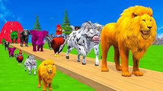 Paint & Animals Duck,Gorilla,Lion,Elephant,Cow,Sheep Fountain Crossing Transformation Animal Cartoon